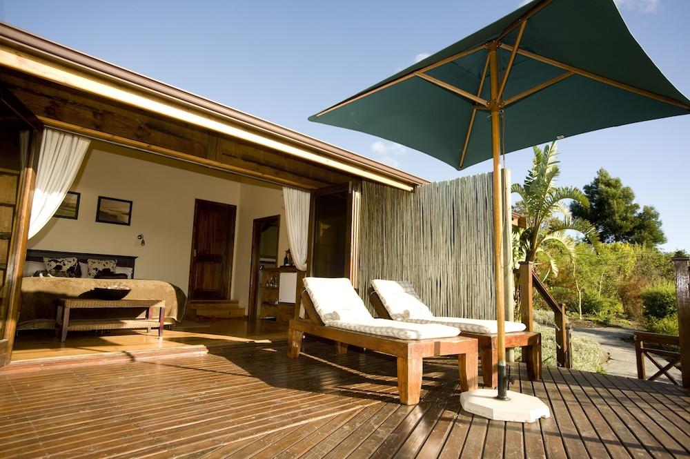 Elephant Hide Of Knysna Guest Lodge Zewnętrze zdjęcie