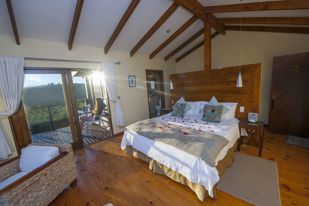 Elephant Hide Of Knysna Guest Lodge Zewnętrze zdjęcie