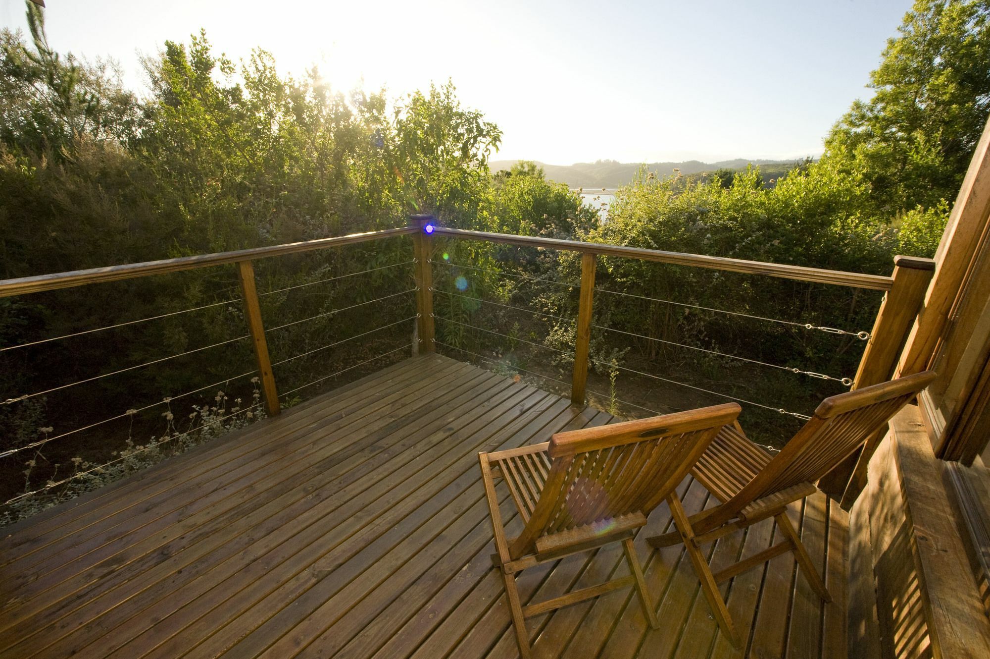 Elephant Hide Of Knysna Guest Lodge Zewnętrze zdjęcie