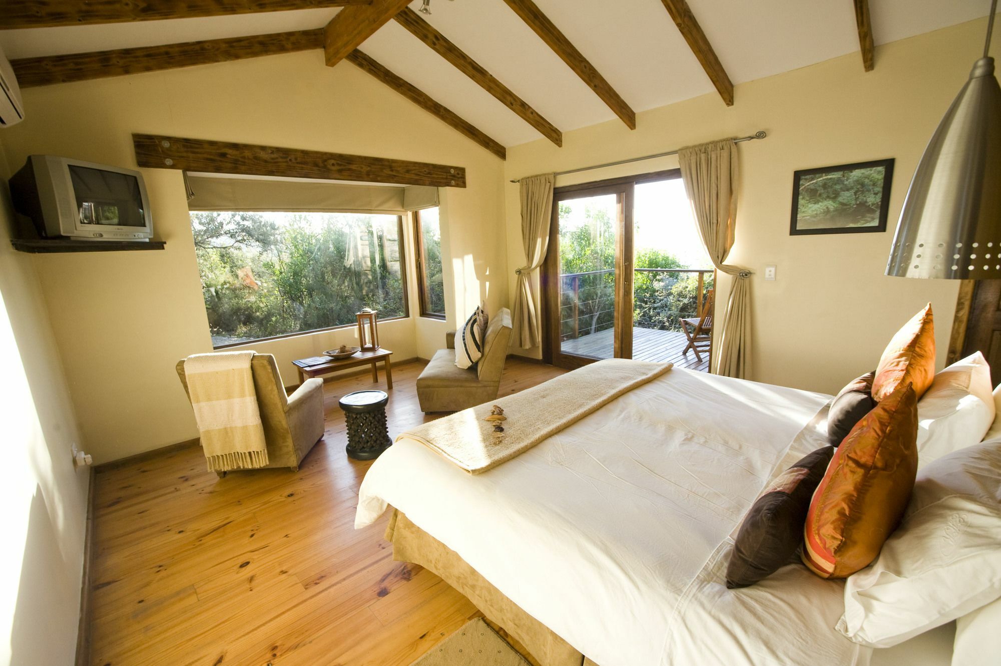 Elephant Hide Of Knysna Guest Lodge Zewnętrze zdjęcie