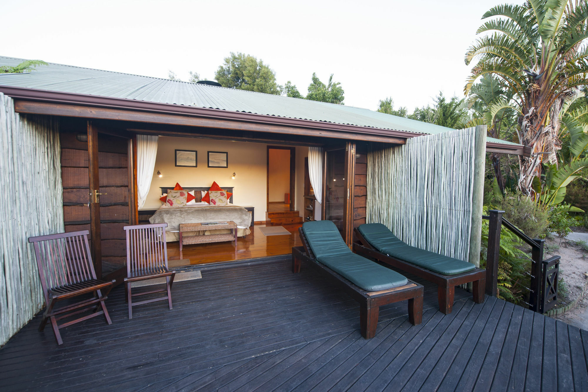 Elephant Hide Of Knysna Guest Lodge Zewnętrze zdjęcie